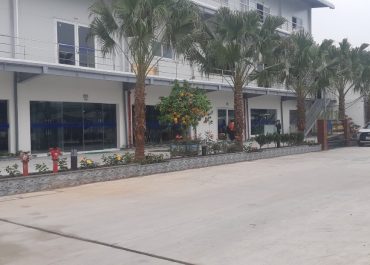 Công ty đẹp như công viên